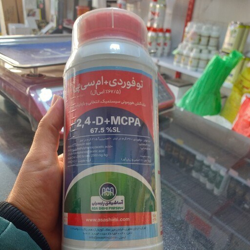 سم ضدعلف گندم و جو توفوردی 67.5% mpca چینی واردکننده آسا شیمی پارسیان